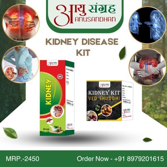 Kidney Disease Kit (What is Kidney Problem? )